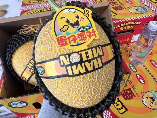 周日取货：【蛋仔派对黄金哈密瓜】一个3.5斤左右，甜蜜香甜，风味浓郁，果肉金黄！ 商品图7