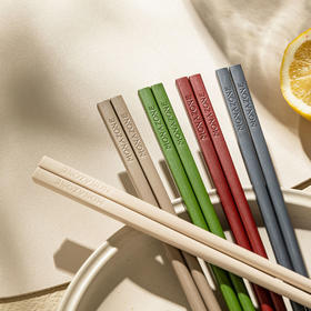 摩登主妇PPS合金筷子家用高档抗菌防霉2025新款轻奢家庭专人专用