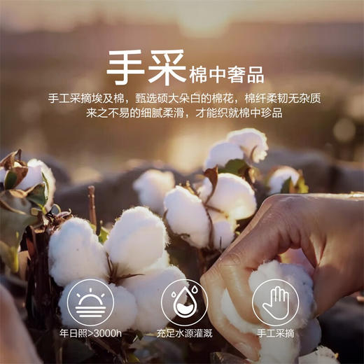 水星家纺床上四件套 100支埃及长绒棉 A类酒店轻奢床品 被套床单枕套 唐顿庄园(床笠款) 1.8米床 适配220*240cm被芯 商品图2