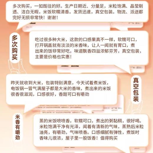 未尝不可 稻花香大米   黑龙江真空袋10斤包邮 商品图3