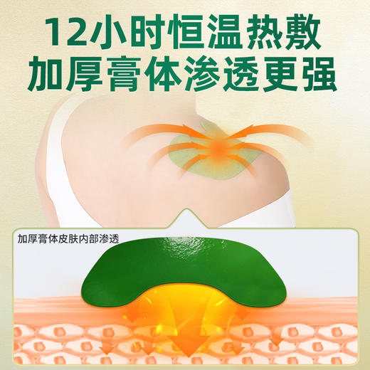 百年扁氏肩周贴加强版 商品图3
