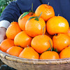 京鲜生 四川春见耙耙柑 净重5斤 单果180g起 生鲜水果柑橘桔子礼盒 商品缩略图7
