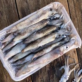 【京东包邮】450g*4盘79笔管鱼鲜活冷冻保留原浆原色零冰衣鲜度和肉质的韧劲基地直邮