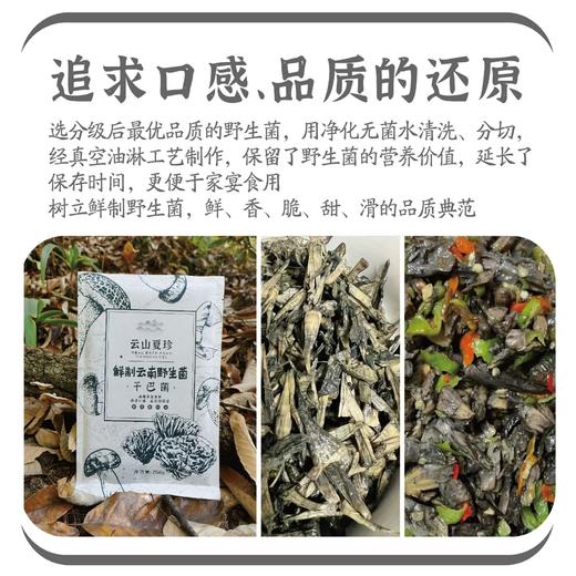 云山夏珍 鲜制云南野生干巴菌 商品图2