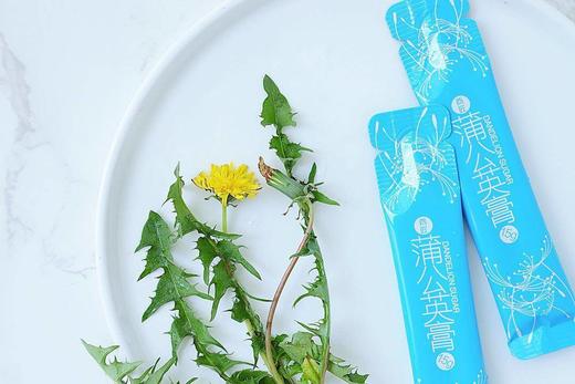 【分仓直发包邮】酉匠蒲公英膏450g/盒*3盒（下单送1盒，到手4盒） 商品图2