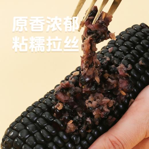 【有机食品】 赤峰有机认证玉米 甜糯玉米真空锁鲜装 内蒙赤峰有机甜糯玉米白玉米/黄玉米/黑玉米230g*8穗/件亮袋轻食控糖适配 商品图3