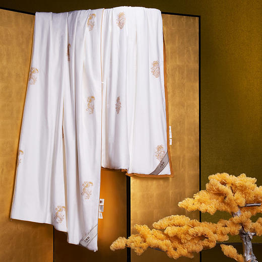 万事利纯蚕丝子母被-龙凤呈祥-四季被 商品图2