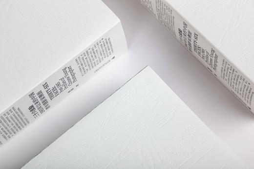 【限量预售】三十六张脸：1985年以来的中国青年摄影家侧面（作者+设计师双签名+编号纪念版，仅300本，售完不补） 商品图6