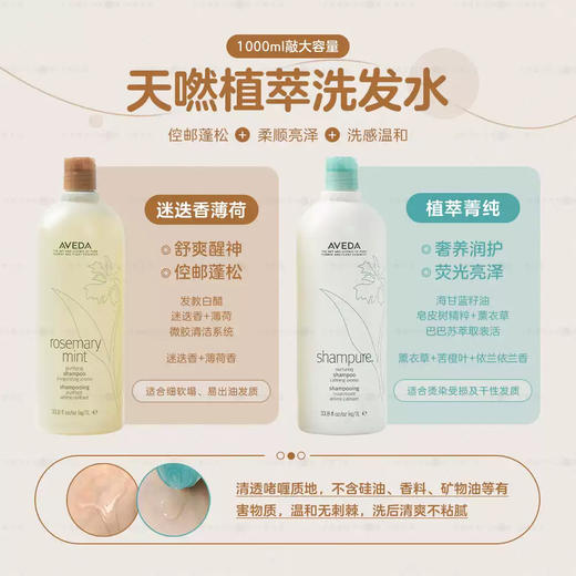 【3.22王炸割肉价】Aveda艾凡达洗发水1000ml迷迭香薄荷/植萃菁纯控油蓬松 商品图2