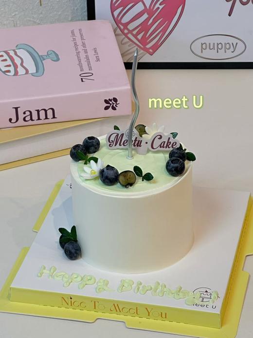 绿野仙踪113 商品图0