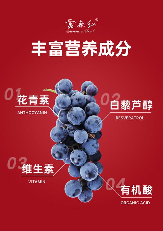 【288元任选6件】云南红经典玫瑰蜜全汁干红葡萄酒12.5度750ml弥勒酒庄 商品图4