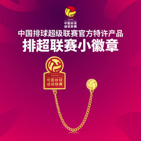 排超联赛小徽章