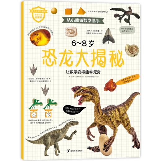 《从小就做数学高手》全6册 6-8岁 5大知识板块 6种职业探索 300多道数学谜题和趣味活动 商品图9