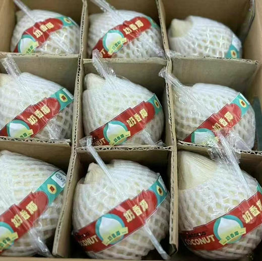 【奶香椰】
天然电解质水，今天你喝了吗😍
奶香奶香的~清甜爽口，好好喝[色]
来自于大自然的馈赠🌴
每天一个椰皇，皮肤白白嫩嫩的美女都在喝✅ 商品图2