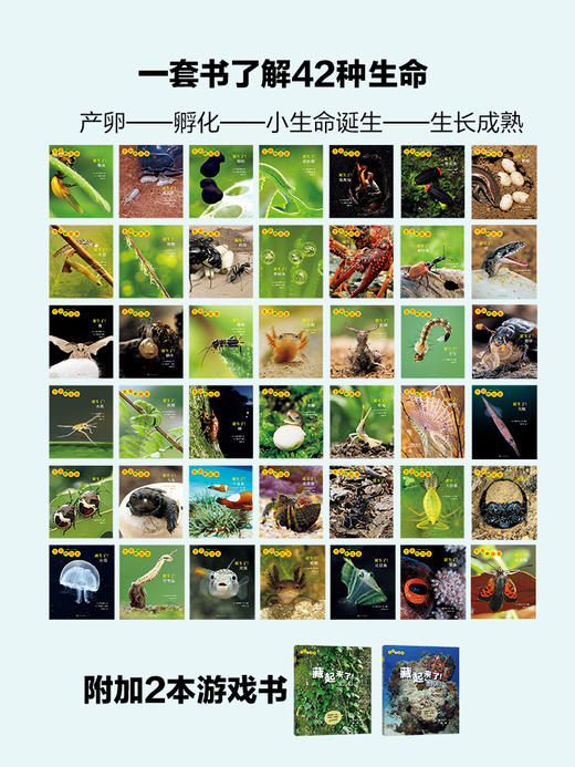 《生命的故事》礼盒装共44册   稀有、珍贵的大画面高清写真图片 让孩子对生命的诞生、成长过程一目了然 随书附赠音频伴读 商品图1