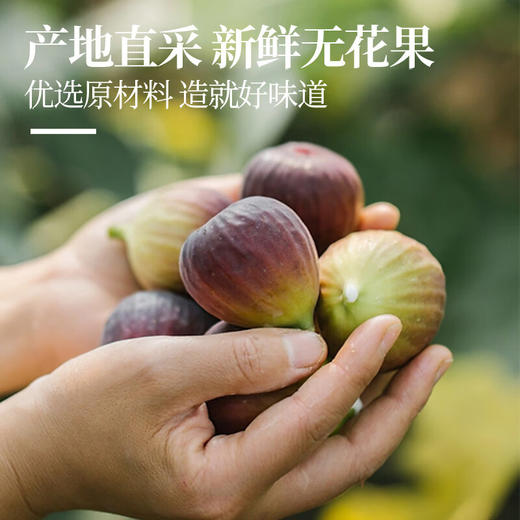 【分仓直发包邮】楼兰蜜语(青皮烘干)无花果干150g*2罐 商品图4
