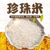 未尝不可  珍珠米   东北大米10斤新米 商品缩略图1