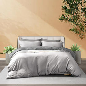 富安娜(FUANNA) 磨毛四件套-威尼斯之梦