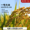 大米一级优质米梗米带胚芽五谷杂粮熬米油新米产地发 2.5kg 商品缩略图0