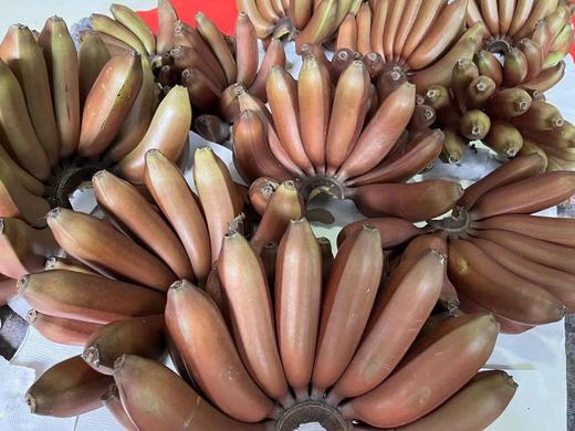 又叫“美人蕉”“红皮香蕉” 🍌淡淡兰花香 软糯香甜可口😋【海南水果咖啡蕉5斤净果礼盒】顺丰/京东陆运随机发 商品图3