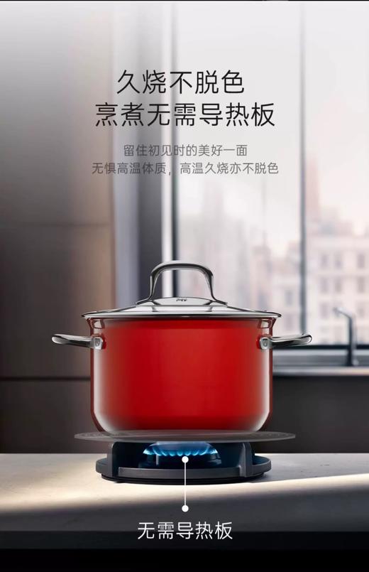 【6F】WMF德国原装进口奈彩米Compact汤锅  22CM(红色） 商品图2