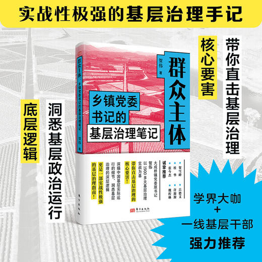 【连岳】群众主体：乡镇党委书记的基层治理笔记 商品图2