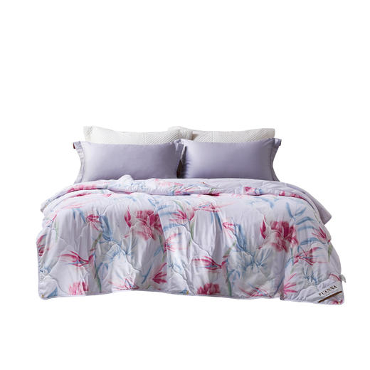 富安娜(FUANNA) 微甜阳光七孔抗菌夏被152*210cm 商品图4