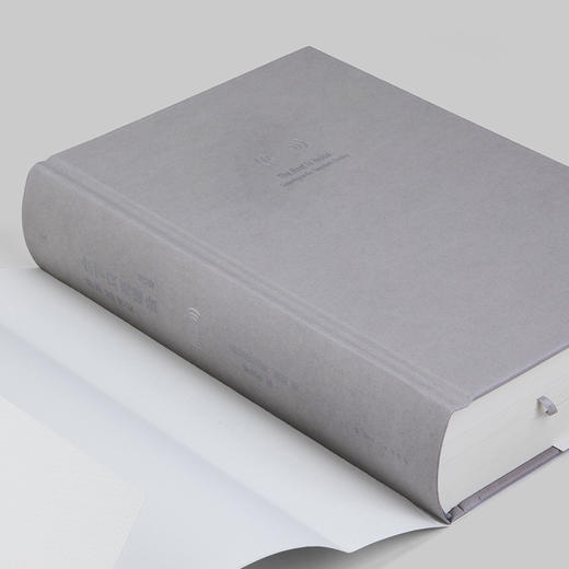 余下只有噪音：聆听20世纪 商品图2