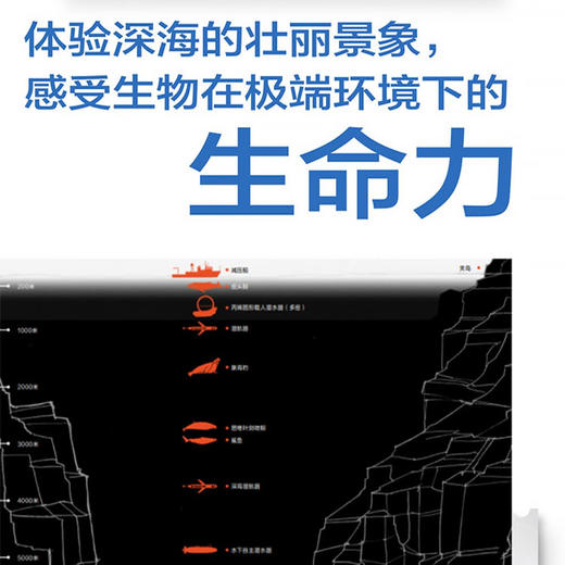 深海巨渊：探索海洋深处的生命奥秘 商品图4