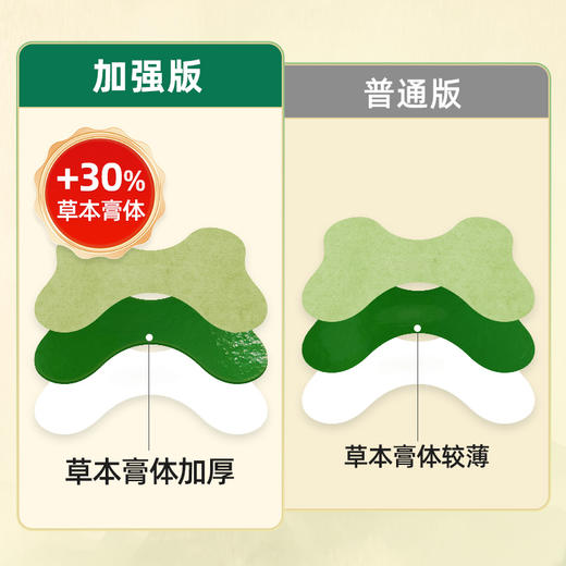 百年扁氏腰椎贴加强版 商品图2