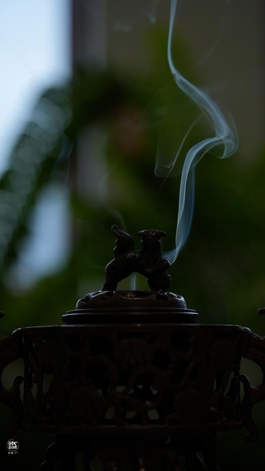 奇楠红土游龙沉香 商品图6