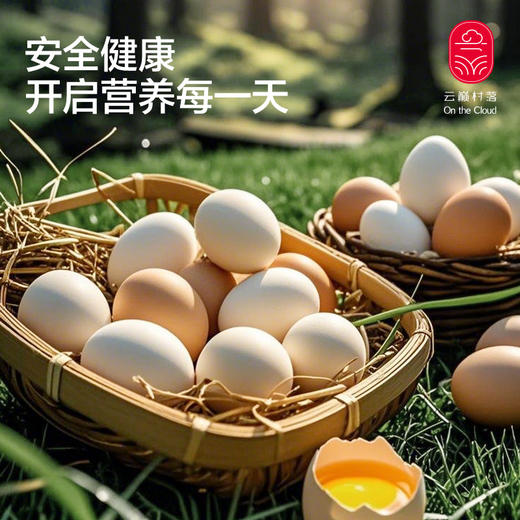 云巅土鸡蛋（快递） 商品图2