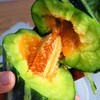 博洋9号蜜瓜3斤装/4.5斤装 商品缩略图10
