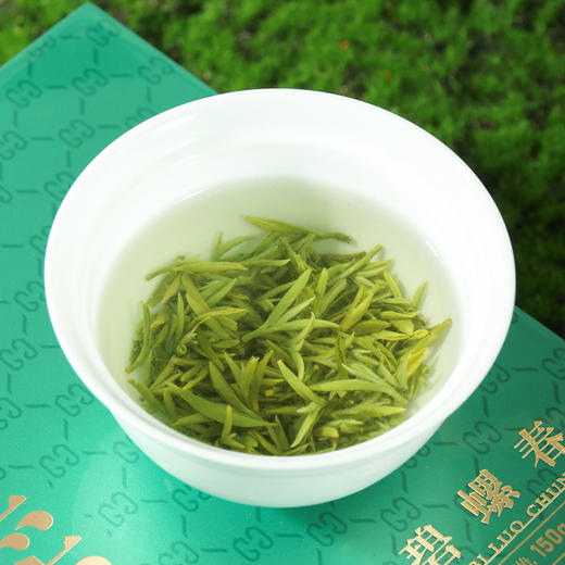 2026头采碧螺春礼盒150g（10g*15罐） 商品图7