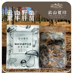 云山夏珍 鲜制云南野生黑牛肝菌