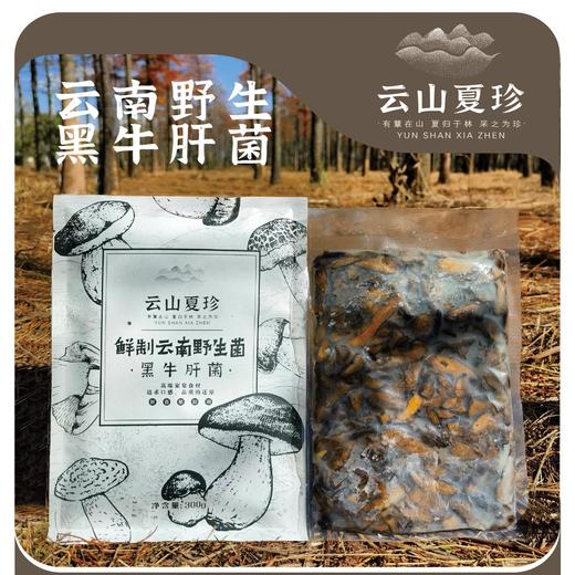 云山夏珍 鲜制云南野生黑牛肝菌 商品图0