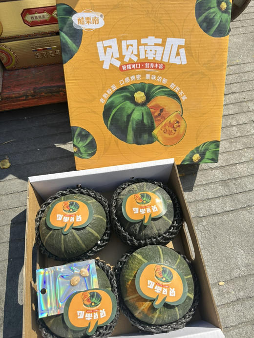 原种日本 惠和贝贝南瓜超大果 商品图0