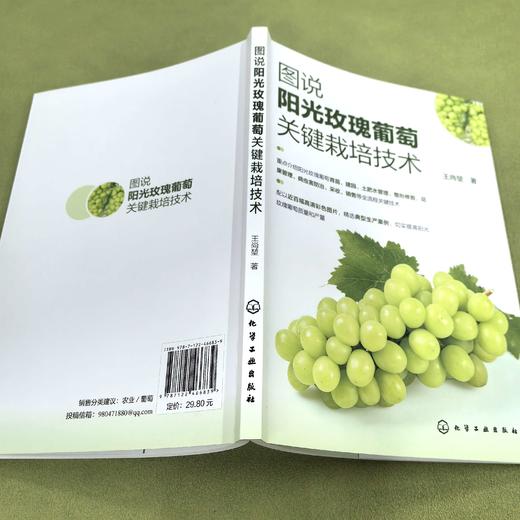 图说阳光玫瑰葡萄关键栽培技术 商品图2