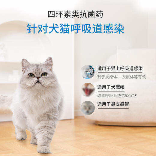 保灵咳喘宁盐酸多西环素片猫狗感冒咳嗽消炎药犬窝咳猫鼻支哆喜艾 商品图7