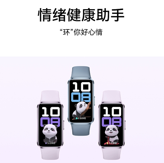 华为手环 10 标准版