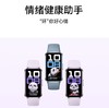 华为手环 10 标准版 商品缩略图0