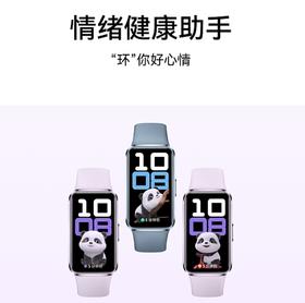 华为手环 10 标准版