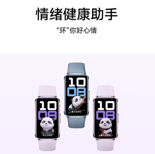 华为手环 10 标准版 商品图0