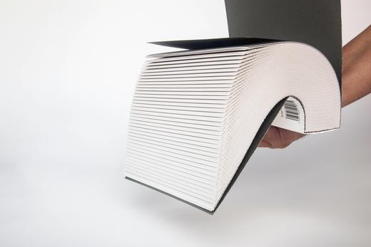 【限量预售】三十六张脸：1985年以来的中国青年摄影家侧面（作者+设计师双签名+编号纪念版，仅300本，售完不补） 商品图5