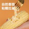 【有机食品】 赤峰有机认证玉米 甜糯玉米真空锁鲜装 内蒙赤峰有机甜糯玉米白玉米/黄玉米/黑玉米230g*8穗/件亮袋轻食控糖适配 商品缩略图2