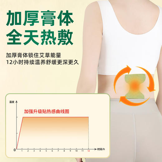 百年扁氏腰椎贴加强版 商品图1