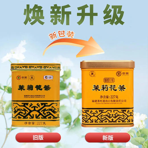 1032 2024年蝴蝶印象茉莉花茶227g 商品图4