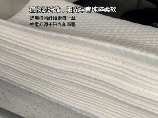 拍一发三❗️安娜新品20*20大规格厨房纸巾200抽/提 25D03033 商品图10
