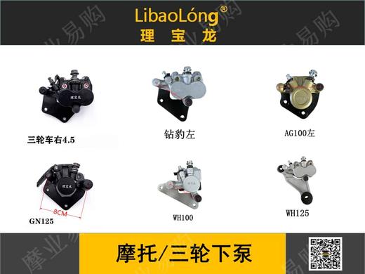 理宝龙摩托/三轮车下泵 商品图0