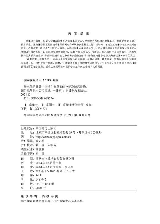 继电保护设备“三误”典型案例分析及防范措施 商品图3